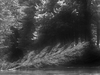 66305CrBwLeUsm - Kayaking the Burnt River from Kinmount to Three Brothers Falls with John - Deb.JPG